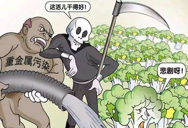 糧食安全如何得到保障？