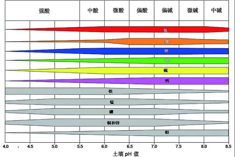 土壤PH速測儀，快速測PH
